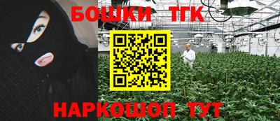 индика Нальчик