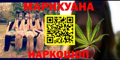 индика Нальчик