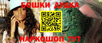 индика Нальчик