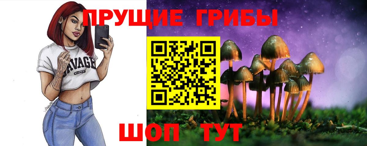 Соль-Илецк  Галлюциногенные грибы Psilocybine cubensis  Вход с VPN 