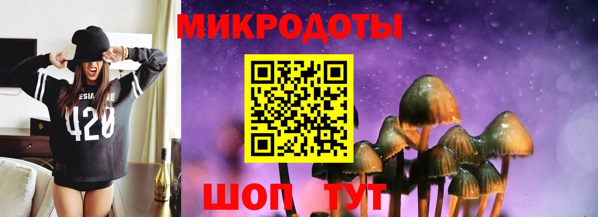 Галлюциногенные грибы Cubensis Соль-Илецк